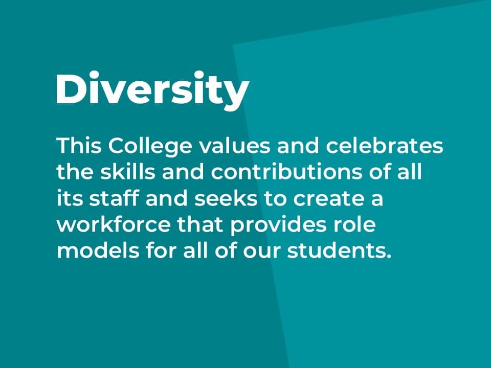 Value 1 - Diversity