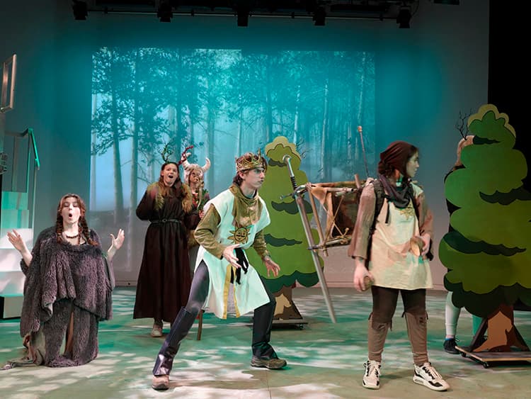 Spamalot theatre performance