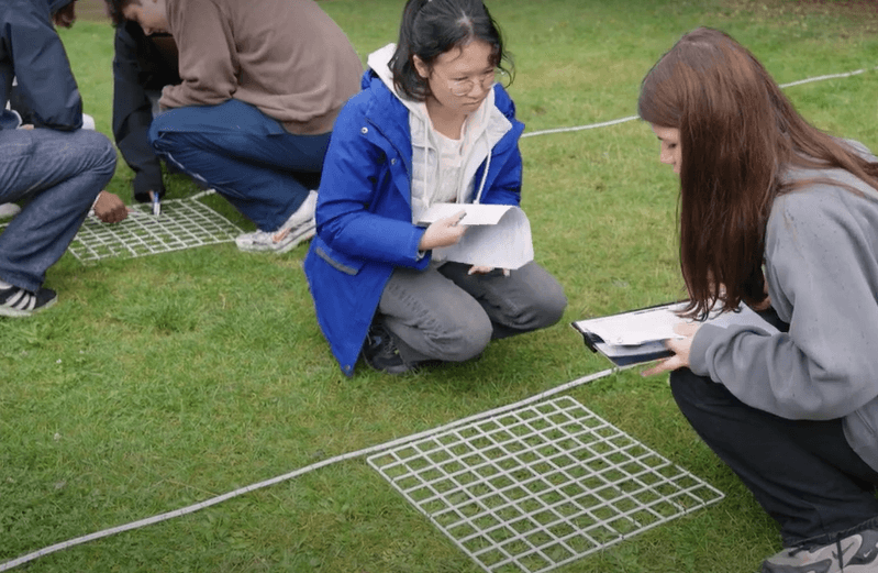 Students looking at grass grid