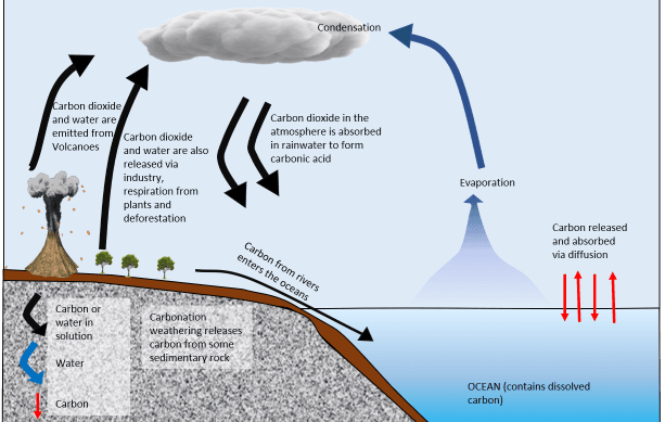 Water Carbon Cycle Links