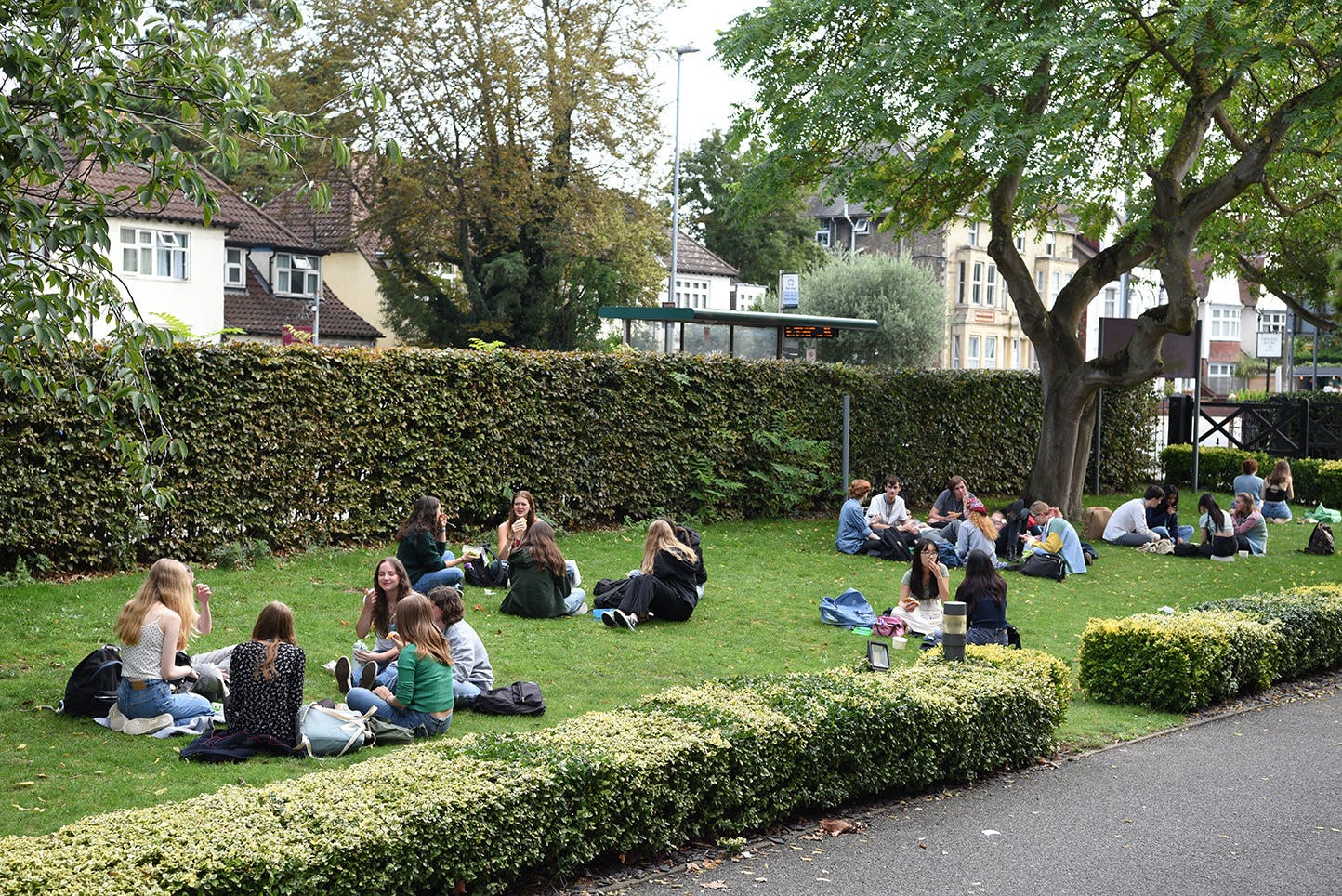 Groups of students relaxing on the grass